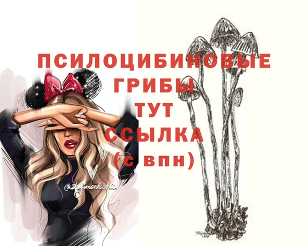 соль курить ск Алексеевка