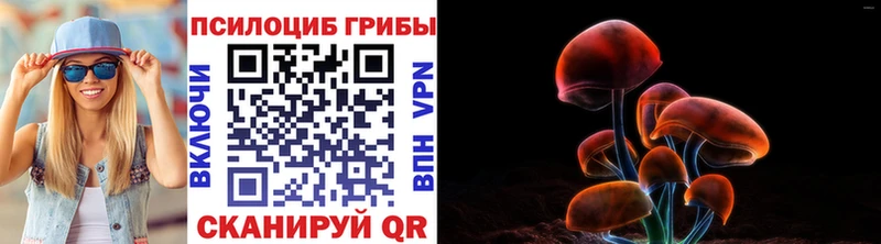 Галлюциногенные грибы ЛСД  Полярные Зори 